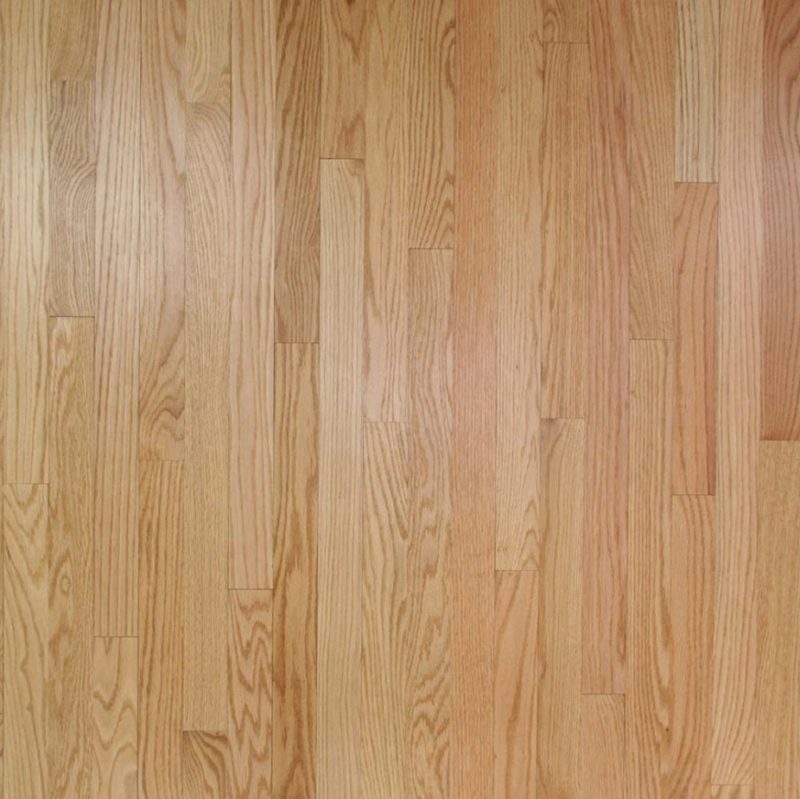 Clear Red oak